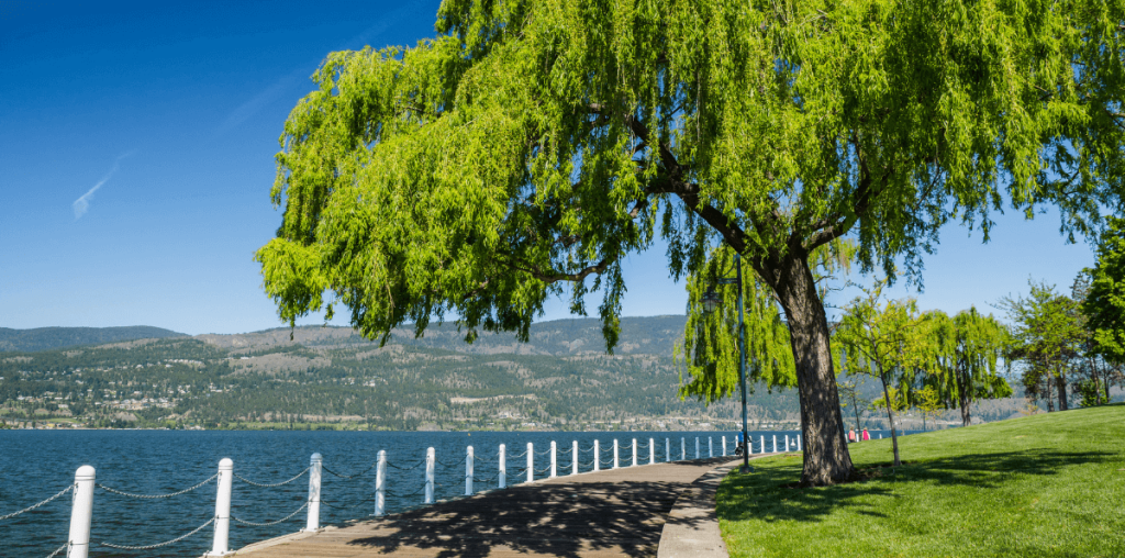 online installment loans in Kelowna